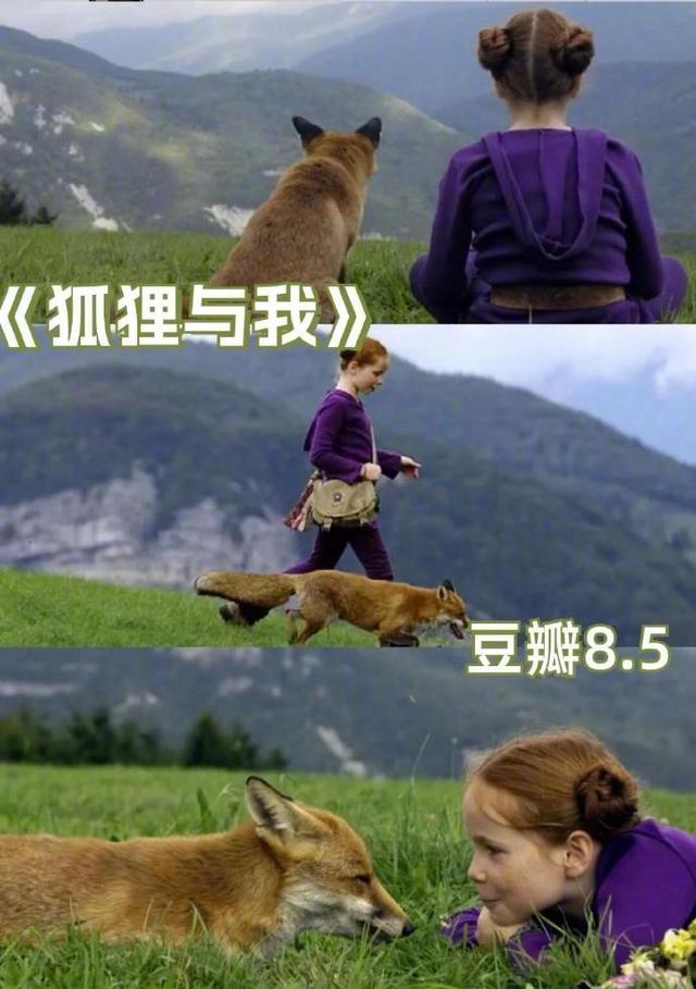 5.jpeg