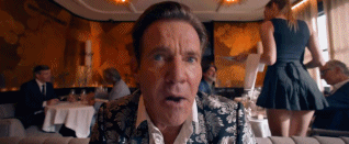 17.gif