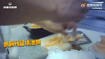 5.gif