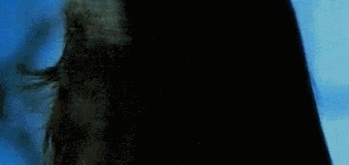 15.gif