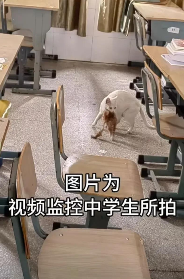 7.png