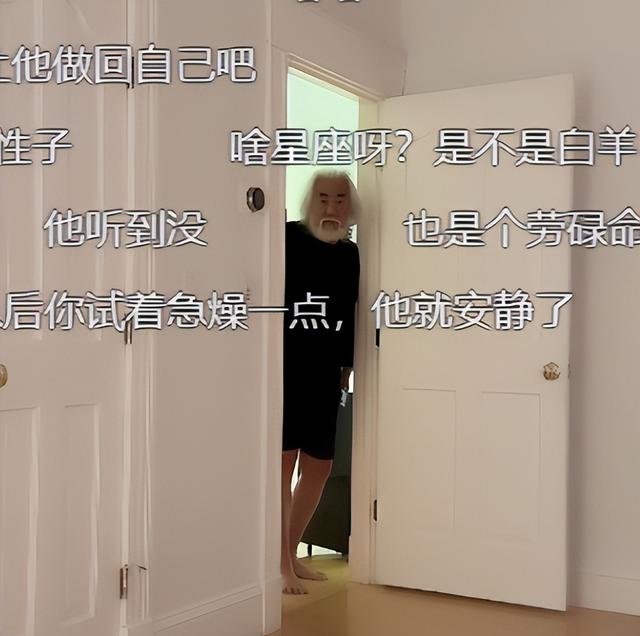 41.jpeg