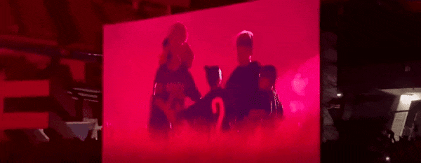 25.gif