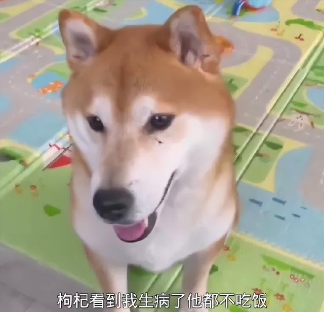 8.jpeg
