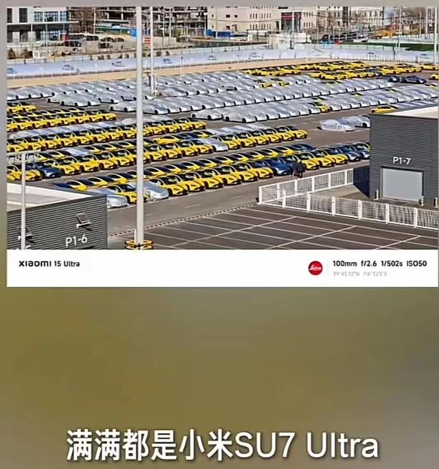 7.jpeg