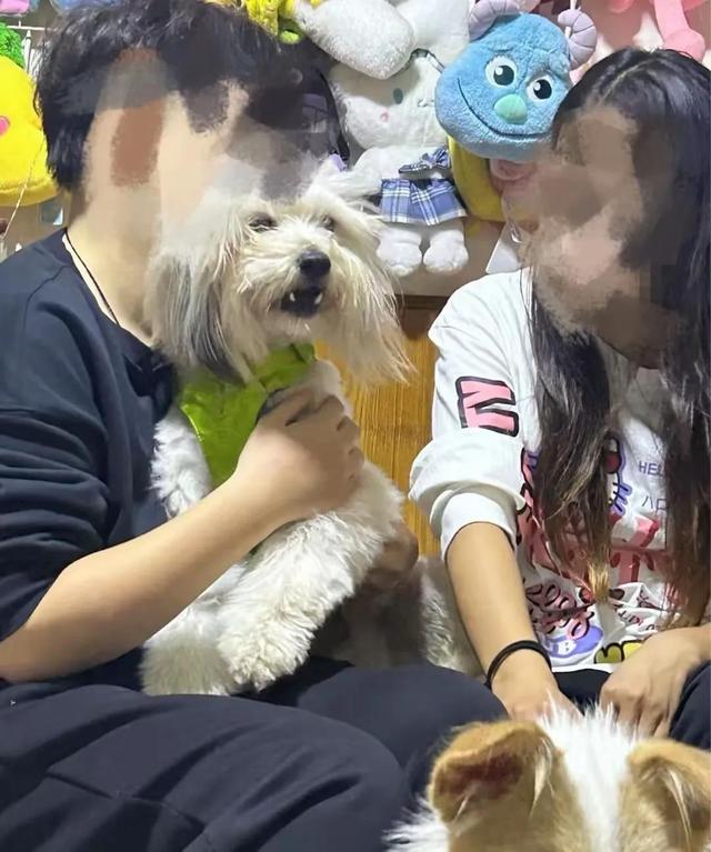 4.jpeg