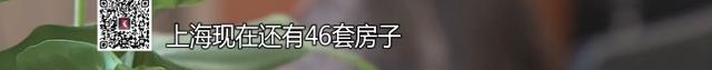 6.jpeg