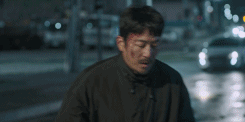 16.gif