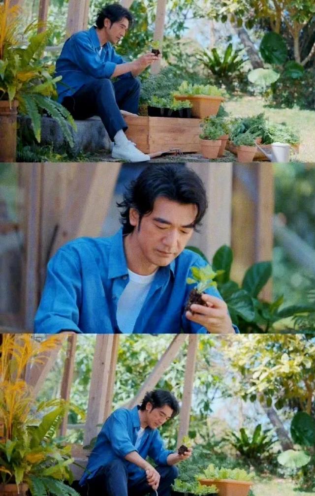 15.jpeg