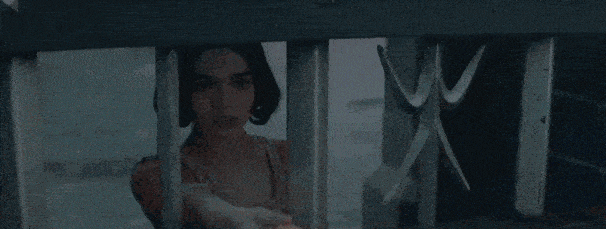 19.gif