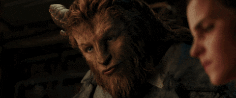28.gif