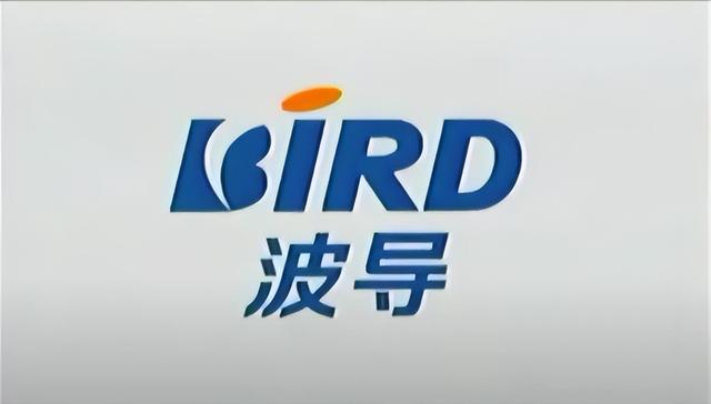 15.jpeg