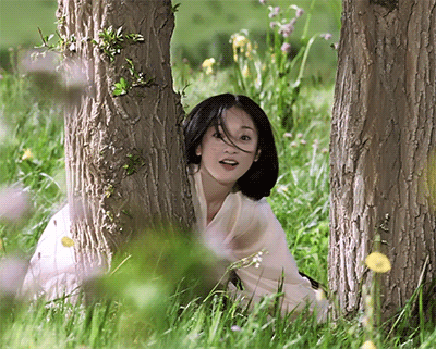 2.gif