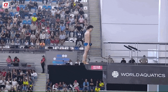 5.gif