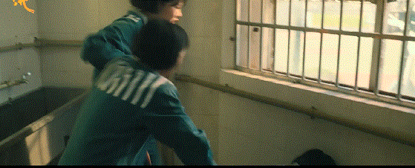 5.gif