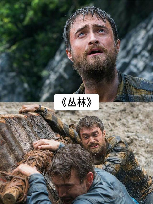 4.jpeg