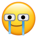 13.png