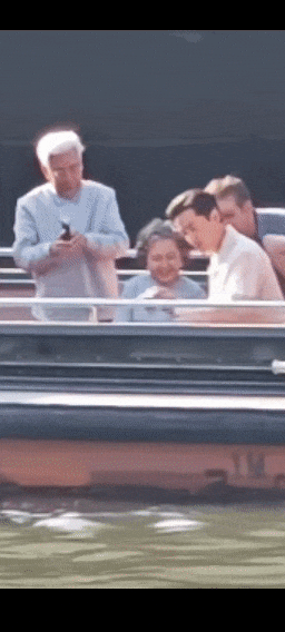 6.gif