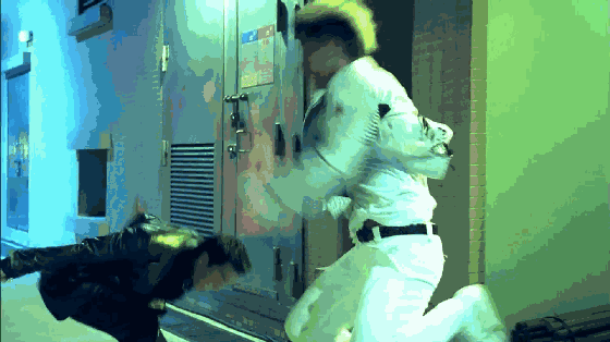 50.gif