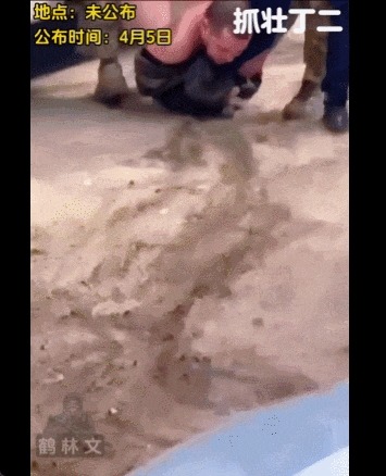 10.gif