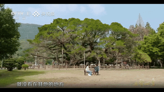19.gif