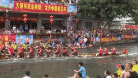 11.gif
