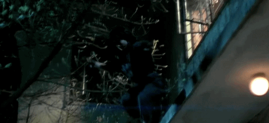4.gif