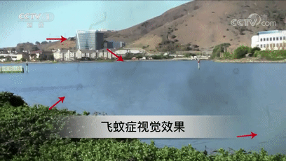 4.gif