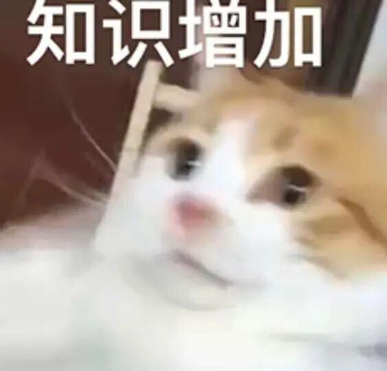 4.jpeg