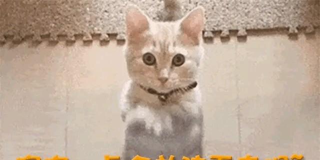 4.jpeg