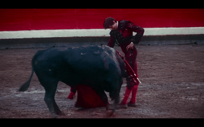 16.gif