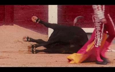 30.gif