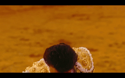 31.gif