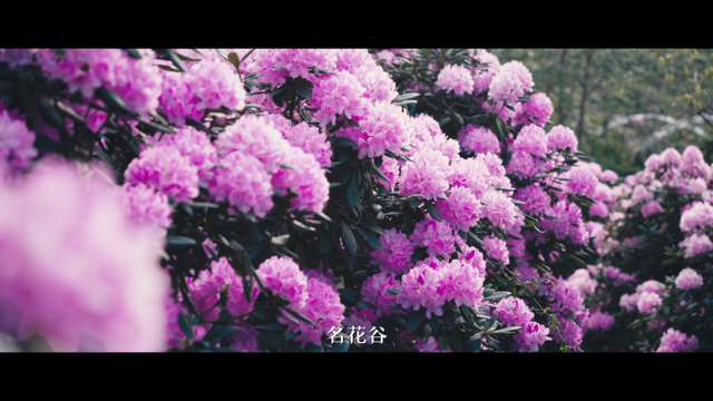 9.png