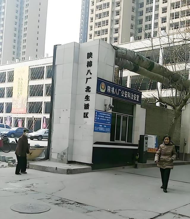 13.jpeg