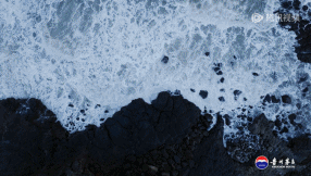10.gif