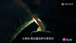 19.gif