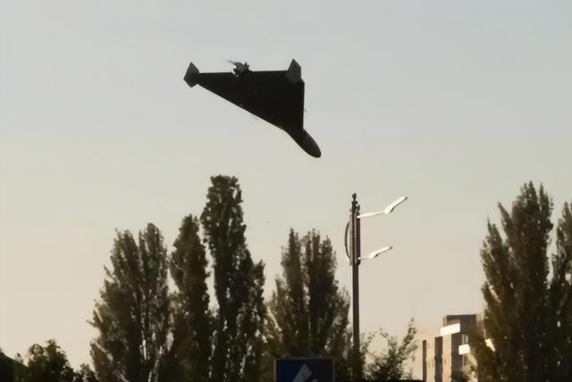 5.jpeg
