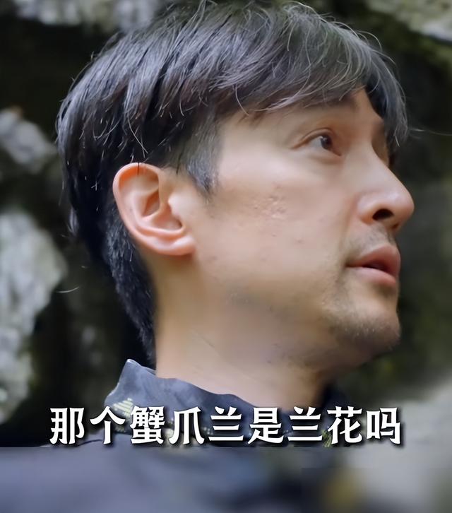 9.jpeg