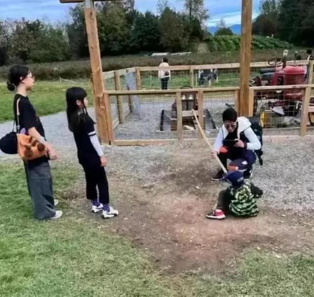 3.jpeg