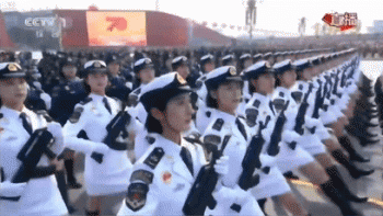 5.gif