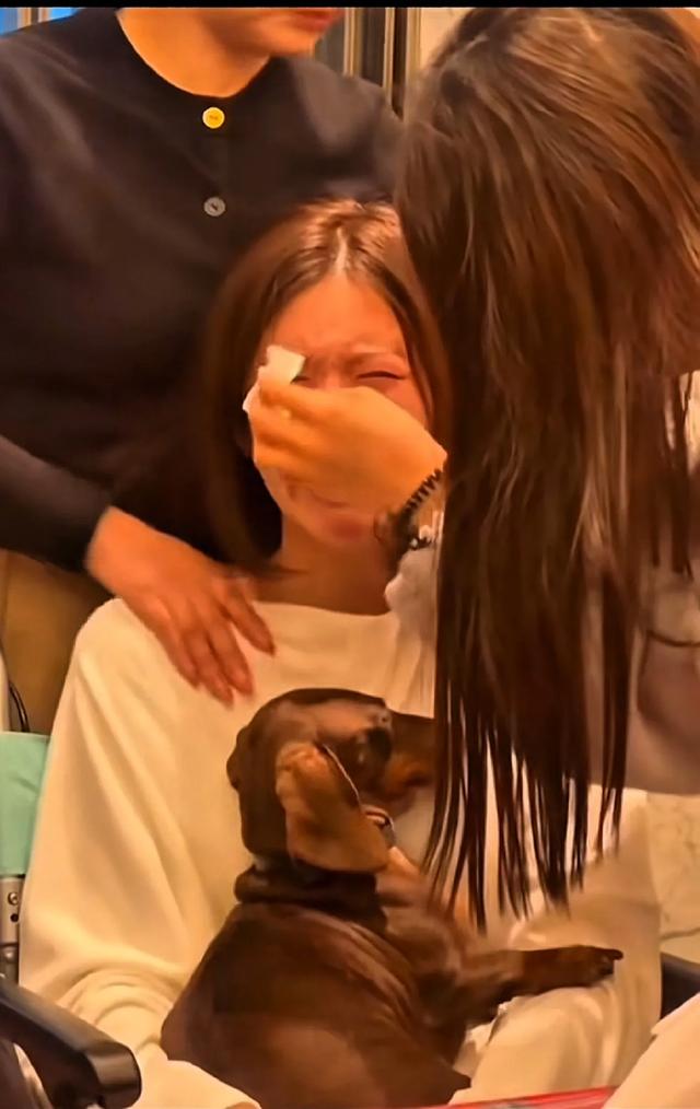 9.jpeg