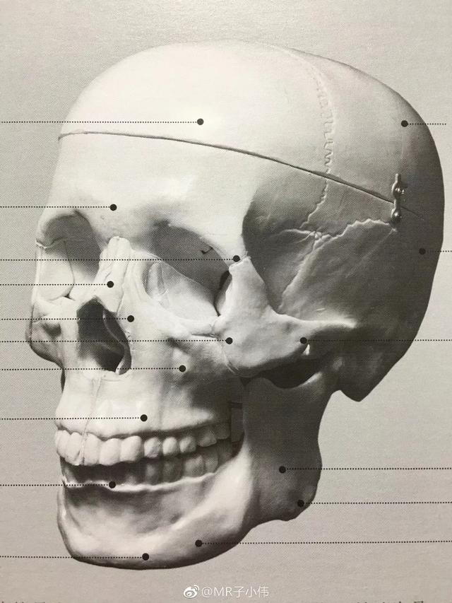 29.jpeg